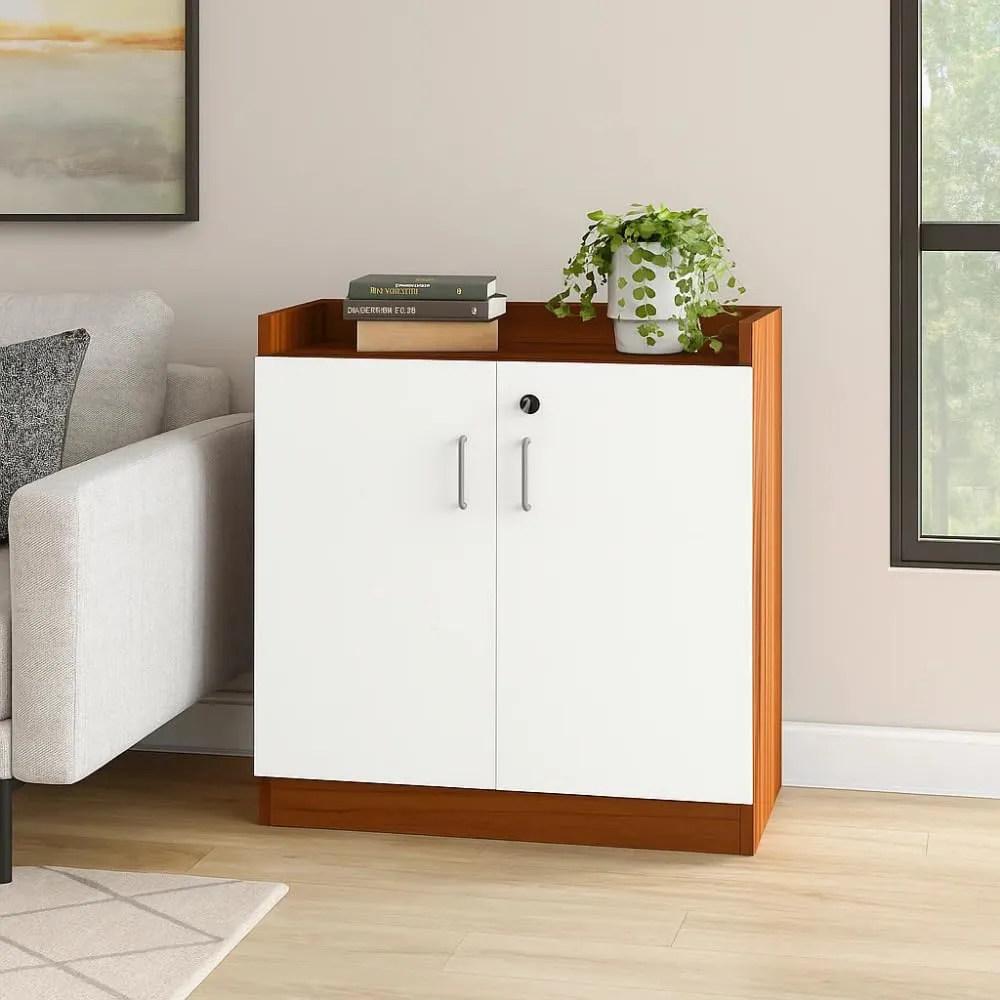 Wooden Shoe Rack with Door and Lock | Engineered Wood Shoe Stand with German Hardware | 3 Spacious Compartments | Top Storage Shelf | DIY Installation | Shoe Rack for 20 to 25 Pairs